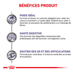 Royal Canin Neutered Adult Grand Chien Stérilisé — Croquettes 12 kg
