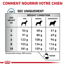 Royal Canin Hypoallergenic Petit Chien — Croquettes 3,5 kg