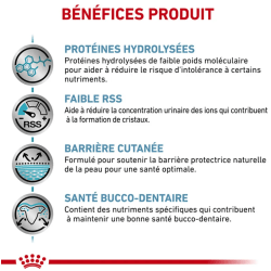 Royal Canin Hypoallergenic Petit Chien — Croquettes 3,5 kg