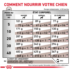 Royal Canin Gastro Intestinal Chien — Croquettes 15 kg