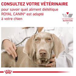 Royal Canin Gastro Intestinal Chien — Croquettes 15 kg