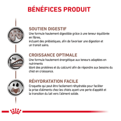 Royal Canin Gastro Intestinal Chien — Croquettes 15 kg