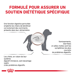 Royal Canin Gastro Intestinal Chien — Croquettes 15 kg
