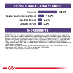Royal Canin Neutered Adult Petit Chien Stérilisé — Croquettes 3,5 kg