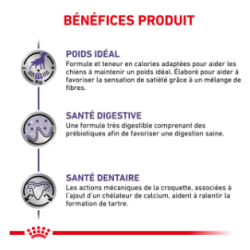 Royal Canin Neutered Adult Petit Chien Stérilisé — Croquettes 3,5 kg