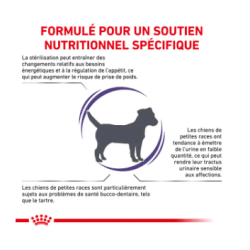 Royal Canin Neutered Adult Petit Chien Stérilisé — Croquettes 3,5 kg