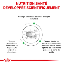 Royal Canin Satiety Petit Chien — Croquettes 3 kg