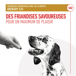 Royal Canin Urinary Treats Chien — Friandises 230g