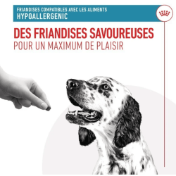 Royal Canin Hypoallergenic Treats Chien — Friandises 230g
