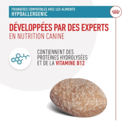 Royal Canin Hypoallergenic Treats Chien — Friandises 230g