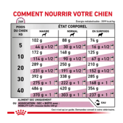 Royal Canin Mobility Support Chien — Croquettes 12 kg
