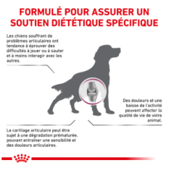Royal Canin Mobility Support Chien — Croquettes 12 kg