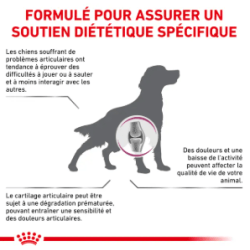 Royal Canin Mobility Support Chien — Croquettes 2 kg