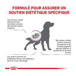 Royal Canin Renal Chien — Croquettes 2 kg