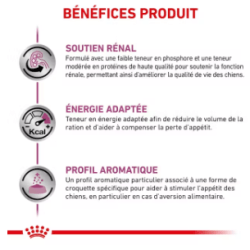 Royal Canin Renal Chien — Croquettes 2 kg