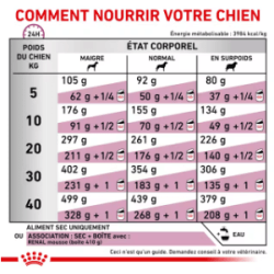 Royal Canin Renal Chien — Croquettes 2 kg