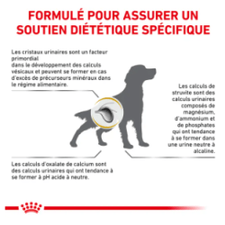 Royal Canin Urinary S/O Chien — Croquettes 13 kg