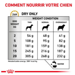 Royal Canin Urinary S/O Chien — Croquettes 2 kg