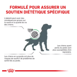 Royal Canin Satiety Weight Management Chien — Croquettes 12 kg