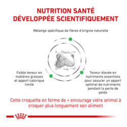 Royal Canin Satiety Weight Management Chien — Croquettes 12 kg