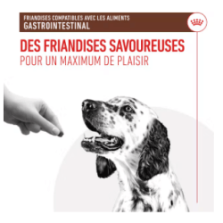 Royal Canin Gastro Intestinal Treats Chien — Friandises 230g