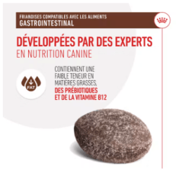 Royal Canin Gastro Intestinal Treats Chien — Friandises 230g
