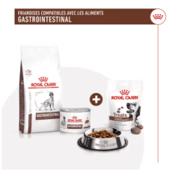 Royal Canin Gastro Intestinal Treats Chien — Friandises 230g