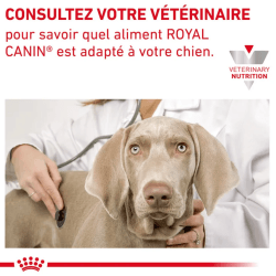 Royal Canin Gastro Intestinal Chien — Boîte 400g