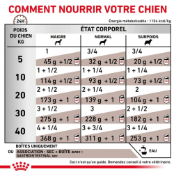 Royal Canin Gastro Intestinal Chien — Boîte 400g