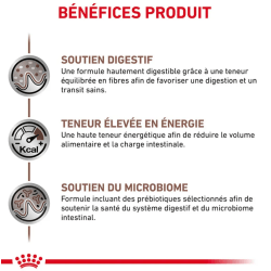 Royal Canin Gastro Intestinal Chien — Boîte 400g
