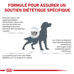 Royal Canin Hypoallergenic Chien — Croquettes 14 kg