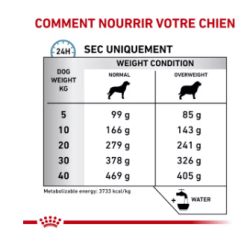 Royal Canin Hypoallergenic Chien — Croquettes 2 kg