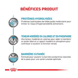 Royal Canin Hypoallergenic Chien — Croquettes 2 kg