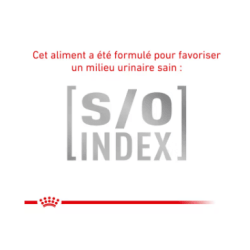 CAT MATURE CONSULT BALANCE 1.5KG