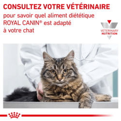 CAT RENAL 2KG