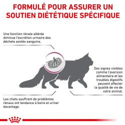 CAT RENAL 2KG