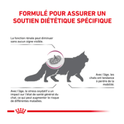 CAT EARLY RENAL 1.5KG