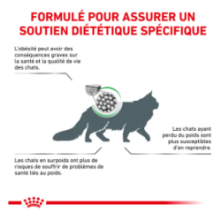 CAT SATIETY WEIGHT MANAGEMENT 6KG