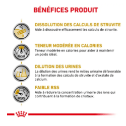 CAT URINARY S/O MODERATE CALORIE 9KG