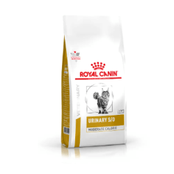CAT URINARY S/O MODERATE...