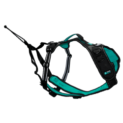 HARNAIS SYMBIOZ XS