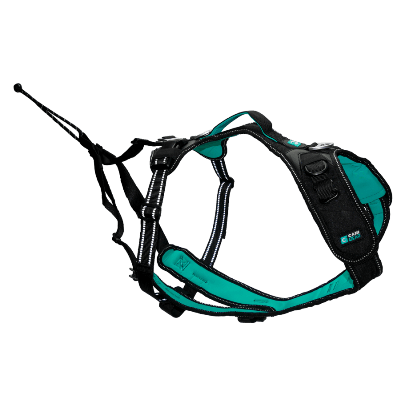 HARNAIS SYMBIOZ XS