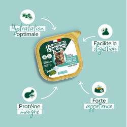 E&I BARQUETTE 85G CHAT STERILISE CABILLAUD BROCOLIS