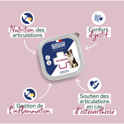 E&I VET BQ CHIEN 300G MOUSSE ARTHROSE