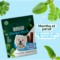 FRIANDISE E&I CHIEN 100G DENTAL CARE S