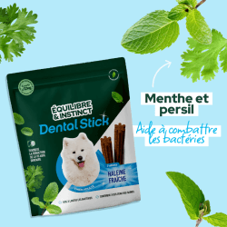 FRIANDISE E&I CHIEN 175G DENTAL CARE L