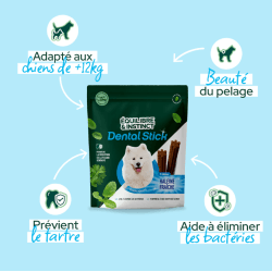 FRIANDISE E&I CHIEN 175G DENTAL CARE L