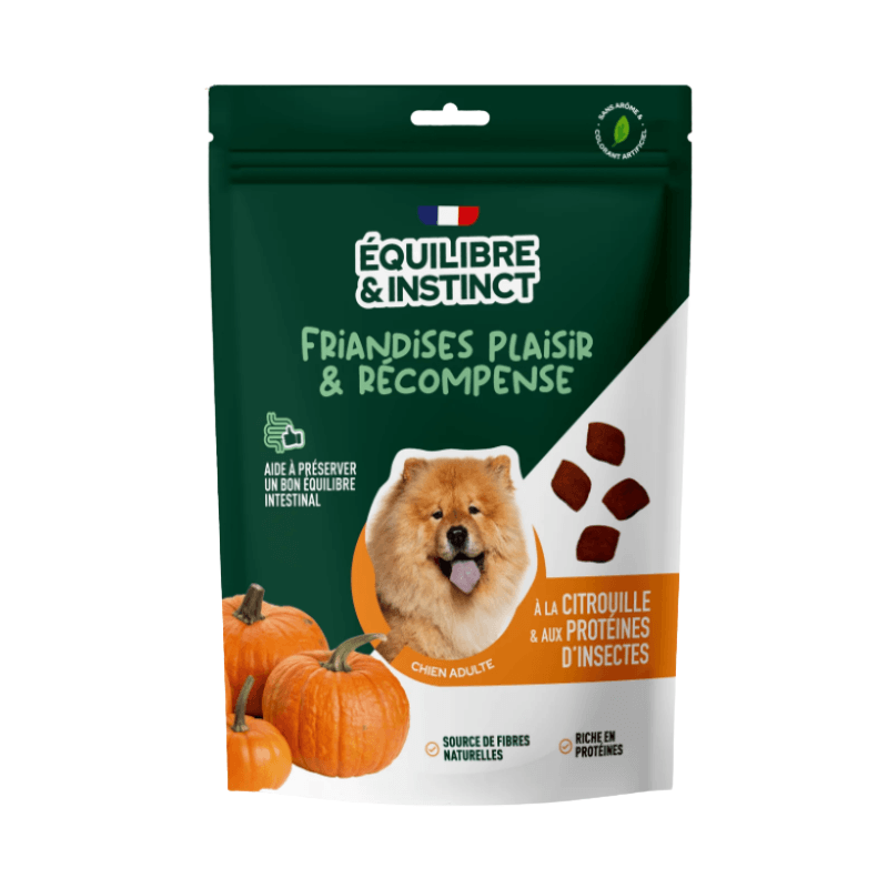 E&I FRIANDISES 120G CHIEN CITROUILLE INSECTES