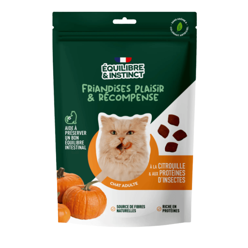 E&I FRIANDISES 80G CHAT CITROUILLE INSECTES