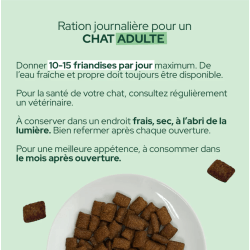 E&I FRIANDISES 80G CHAT CITROUILLE INSECTES